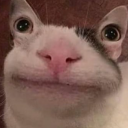 BananenKatze