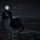 Blacky_Dock